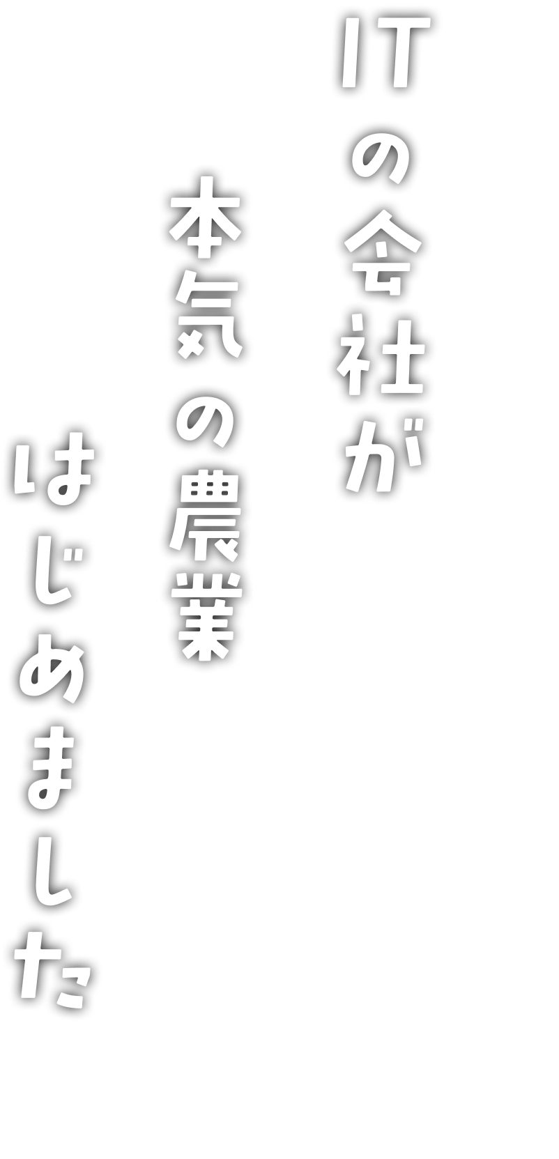 ITの会社が本気の農業はじめました